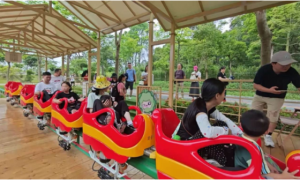 单轨滑车项目：注重长期价值的文旅投资选择